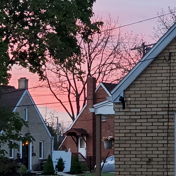 Meet your Posher, Amy - Picture 2 of 5